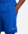 NIKE DriFIT Shorts Blue Boys Jr