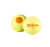 Wilson Starter Orange 3-pack Junior