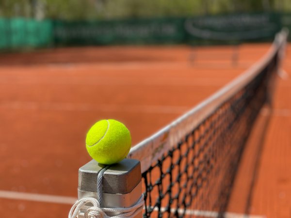 What Should Beginners Prioritize?
