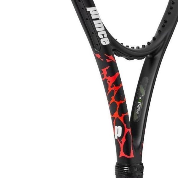 PRINCE Beast 100 265g